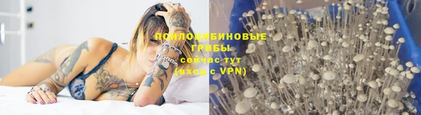 дживик Алексин