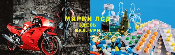 спиды Алзамай