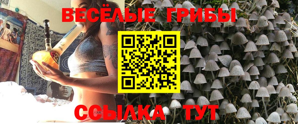 Галлюциногенные грибы мицелий  Вход с VPN  Галлюциногенные грибы Cubensis  Усть-Лабинск 