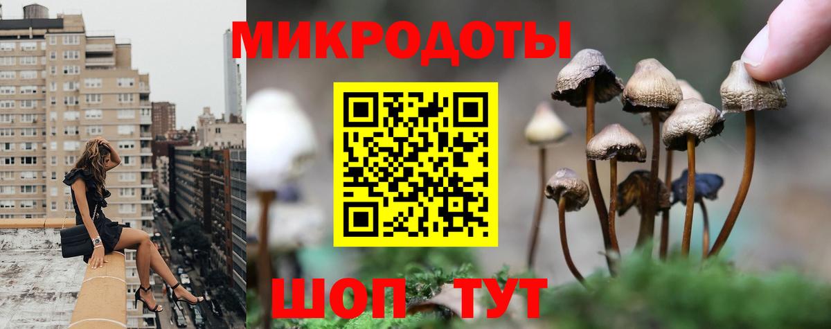 Галлюциногенные грибы Psilocybine cubensis Усть-Лабинск