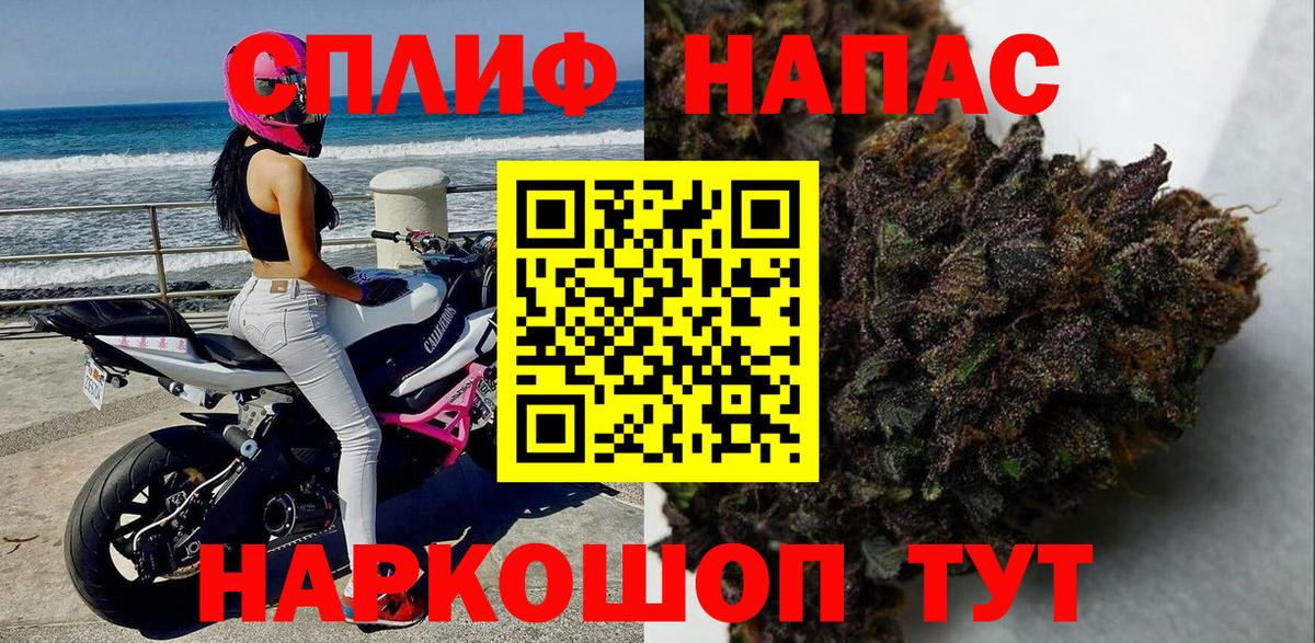Шишки марихуана семена Усть-Лабинск